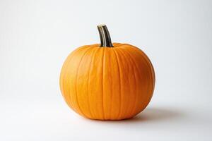 A Single Orange Pumpkin with a Brown Stem photo