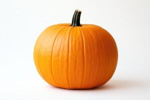 A Single Orange Pumpkin Isolated on a White Background photo