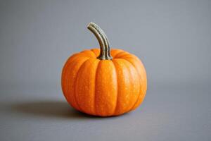 A Single Orange Pumpkin with a Green Stem on a Gray Background photo