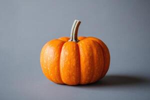 Single Orange Pumpkin with Green Stem on Grey Background photo