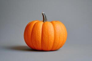 Single Orange Pumpkin on a Grey Background photo