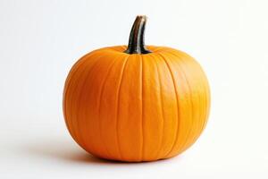 A Single, Ripe Orange Pumpkin with a Dark Stem photo