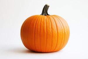 A Single Orange Pumpkin with a Dark Stem on a White Background photo