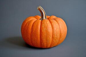 A Single Orange Pumpkin on a Grey Background photo