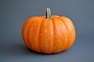 A Single Orange Pumpkin on a Gray Surface photo