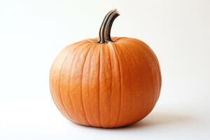 A Single Orange Pumpkin on a White Background photo