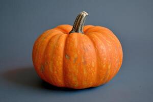 A Single Orange Pumpkin with a Brown Stem on a Gray Background photo