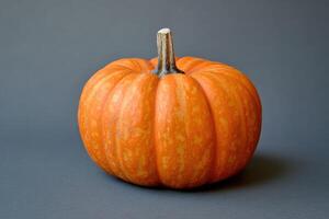 Single Orange Pumpkin with a Brown Stem on a Gray Surface photo