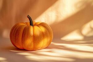 A Single Orange Pumpkin on a Tan Surface with Sunlight and Shadow photo