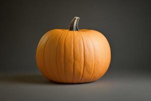 A Single, Ripe Orange Pumpkin on a Gray Background photo