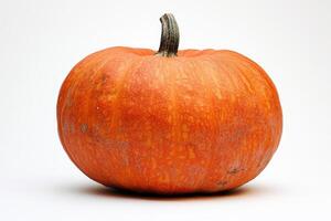 A Single Orange Pumpkin on a White Background photo