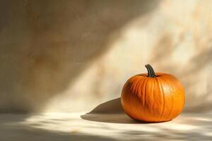 A Single Pumpkin Rests on a White Surface with Light Streaming In photo