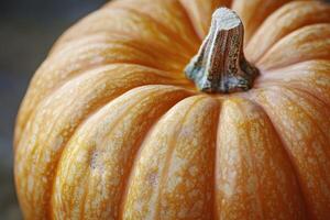 Close-up of a Ripe Orange Pumpkin with Visible Texture and Stem photo