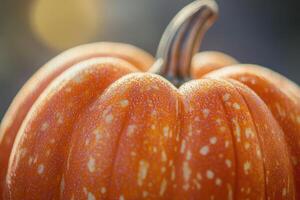 Close-up of a Pumpkin's Skin with a Sunlit Glow photo