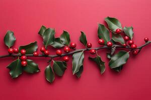 Sprig of Holly with Red Berries on a Red Background photo