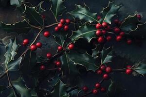 A close-up of holly leaves and bright red berries photo