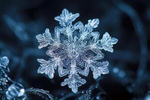 Intricate Blue Snowflake with Delicate Branching Patterns photo
