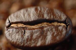 Close-up of a Roasted Coffee Bean with Visible Crack photo
