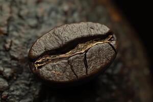 Close-up of a Roasted Coffee Bean with a Golden Crack photo