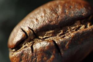 Macro View of a Roasted Coffee Bean photo