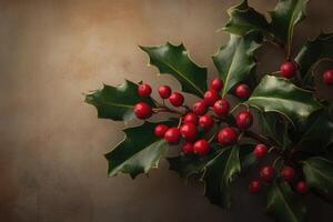 A Sprig of Holly with Bright Red Berries photo