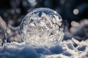 A Frozen Bubble Filled with Delicate Crystal Patterns photo
