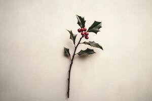 A Single Sprig of Holly with Red Berries Against a White Background photo