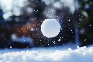 Snowball In Flight Over Wintery Landscape photo