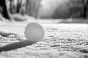 A Single Snowball Resting on a Snowy Surface photo