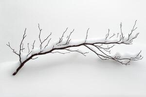 A lone branch, bare and brown, rests gracefully on a pristine white blanket of snow. photo