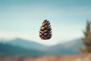A Single Pine Cone Floating in the Sky photo