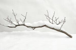 A snow-covered branch with small buds in a snowy landscape photo