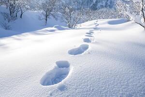 Footprints in the Snow Leading Up a Snowy Hill photo