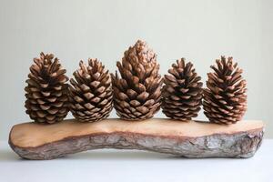 Four Pine Cones on a Wooden Branch photo