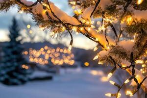 Twinkling Christmas Lights on a Snowy Branch photo