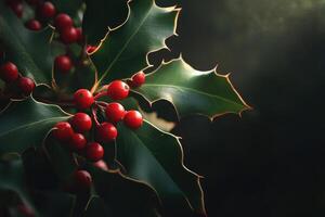 Close-up of Holly Berries and Leaves with a Dark Background photo