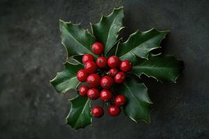 Sprig of Holly with Red Berries on a Dark Background photo