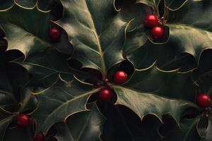 Close-up of Red Holly Berries Surrounded by Dark Green Spiky Leaves photo