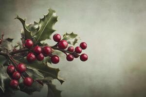 Sprig of Holly with Red Berries Against a Green Background photo