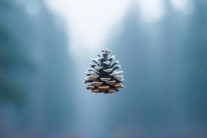 A Single Frosted Pine Cone Against a Blurry Blue Background photo