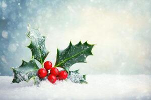 Holly Sprig with Red Berries on a Snowy Background photo
