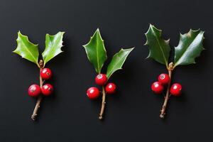 Three sprigs of holly with red berries on black background photo