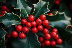 Close-up of Red Berries on Holly Bush with Green Leaves photo