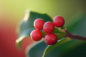 Red Berries on a Green Leaf with a Blurred Background photo