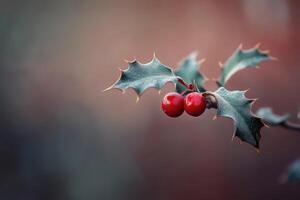 Close-up of Holly Branch with Two Red Berries and Spiky Leaves photo
