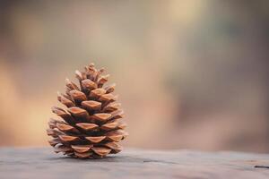 Single Pine Cone on a Brown Background photo