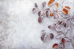 Frost-Covered Autumn Leaves on a Weathered Surface photo