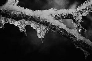 Icy Branch with Sharp, Crystal-Like Formations photo
