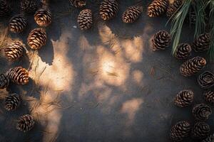 Pine Cones Scattered on a Forest Floor with Sunbeams photo