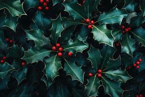Lush Green Holly Leaves with Red Berries photo